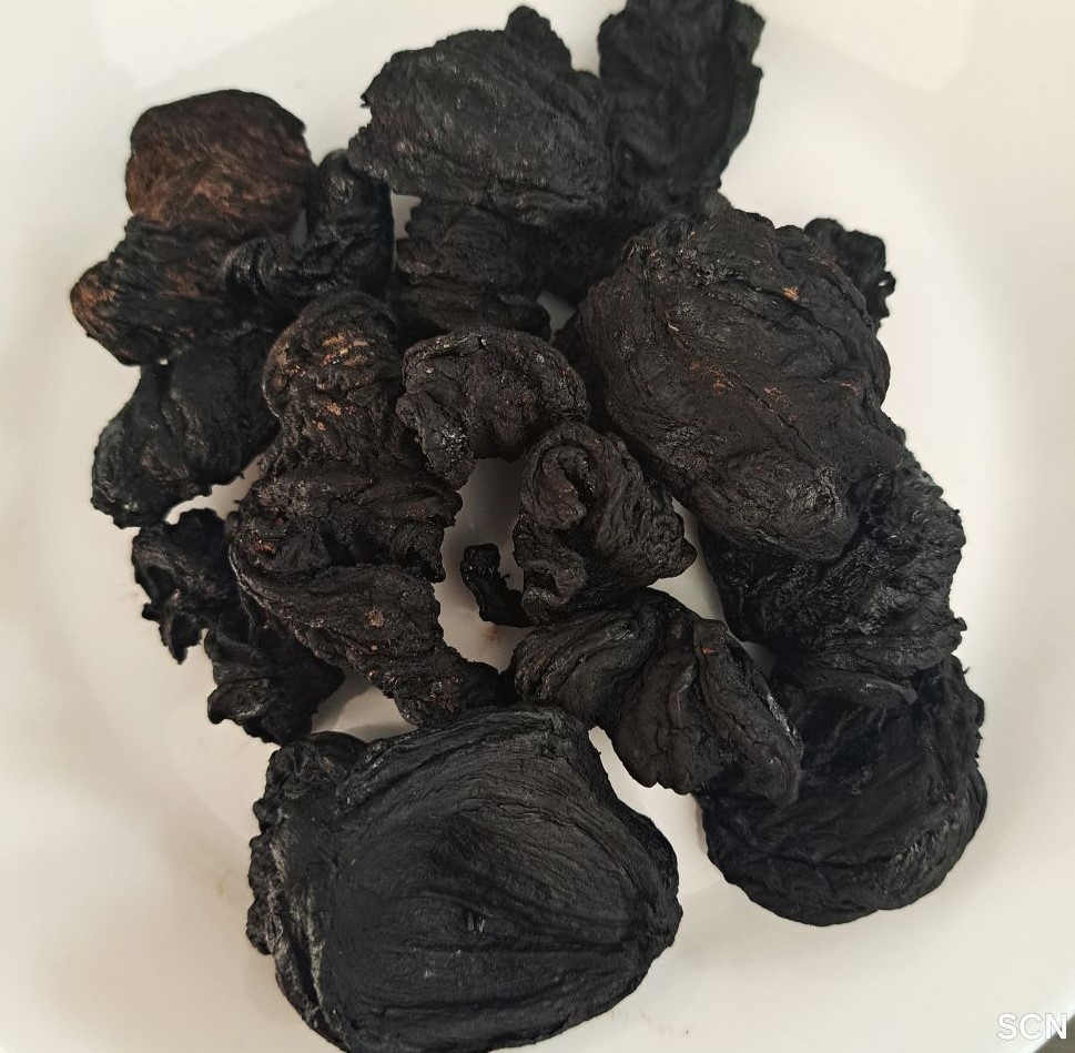 Kodumpuli