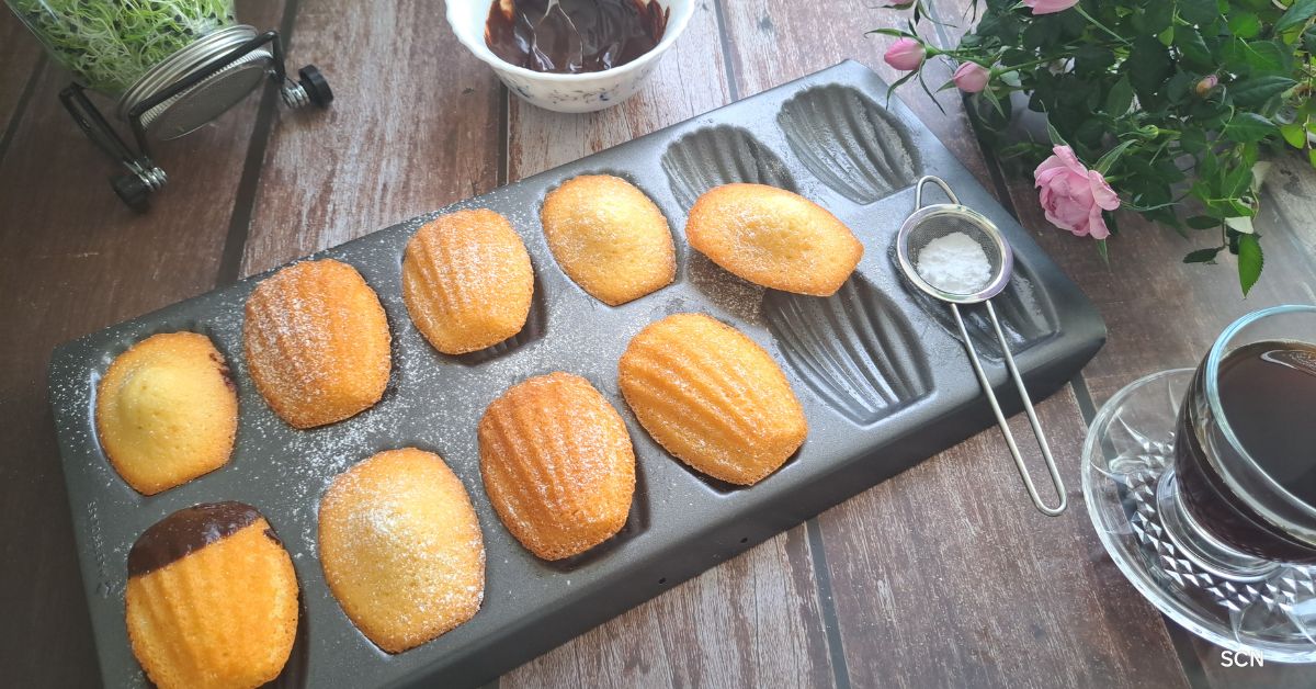  Madeleines