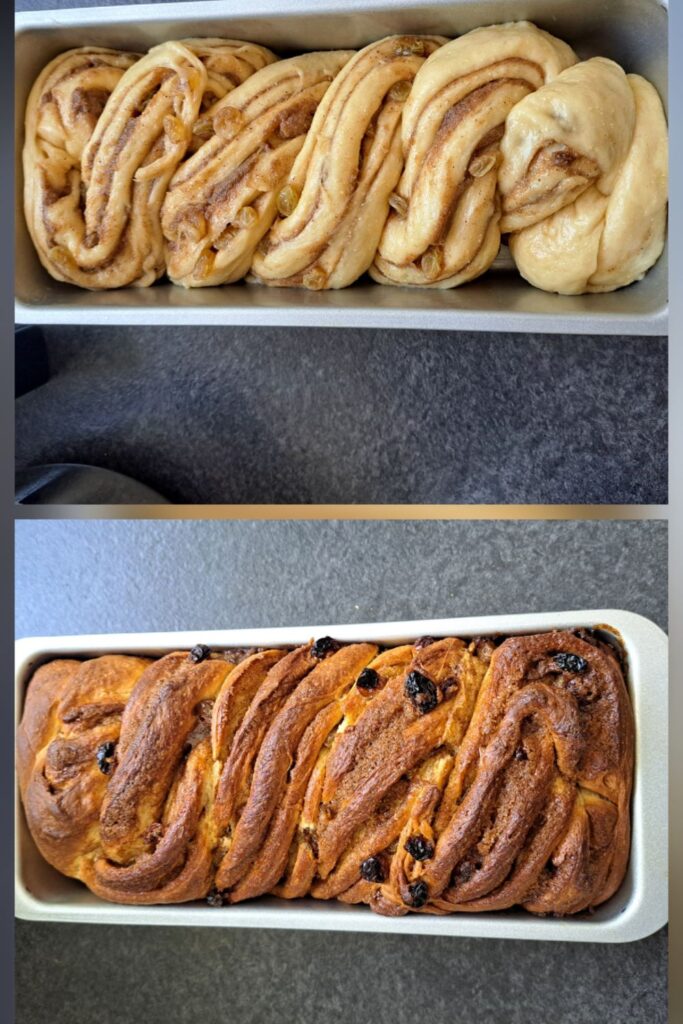 Cinnamon Raisin Babka